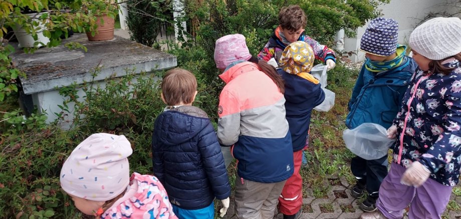 Kinder mit Tüten schauen im Gebüsch nach Müll.