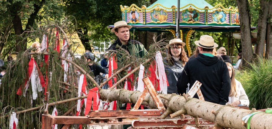 Der Kerbebaum wird zum Festplatz gebracht.