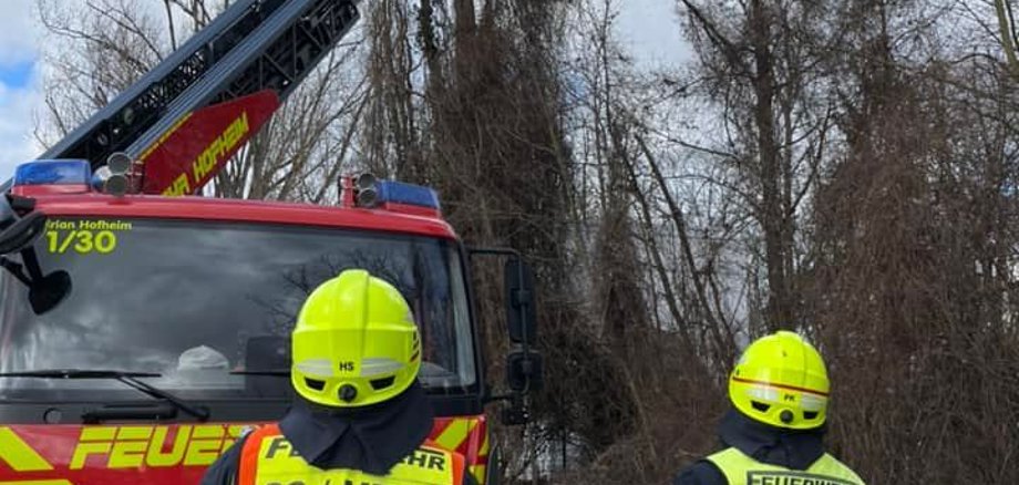 Ein Feuerwehrmann auf einer Drehleiter. Er schneidet Äste ab.