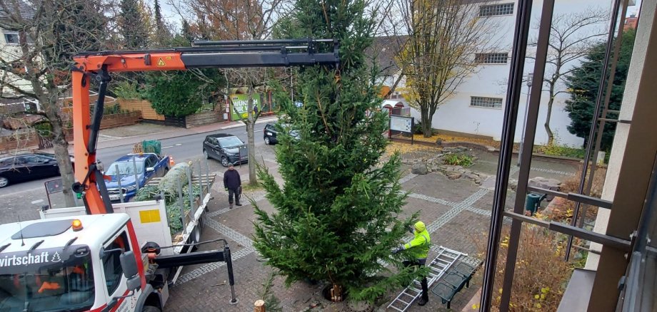 Der WEihnachtsbaum vor dem Rathaus wird mit dem Hubsteiger aufgestellt.