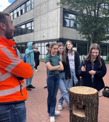 Schülerinnen hämmern Nägel in einen Holzstamm.