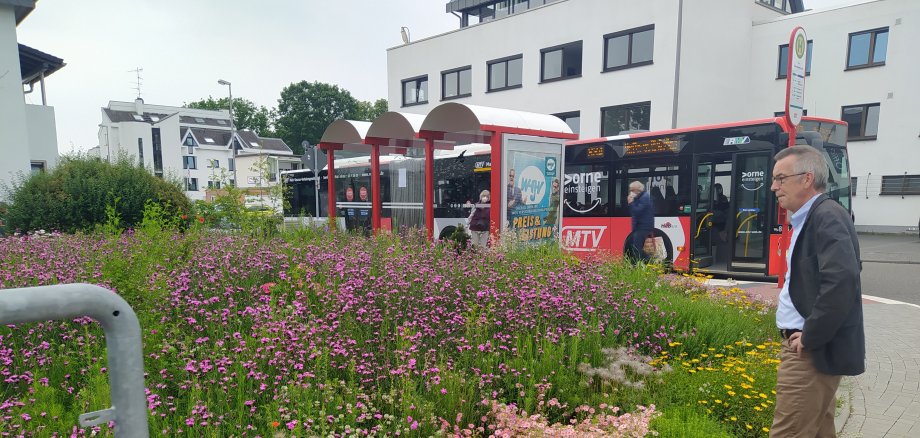 Franz Jirasek vor dem Wildstaudenbeet in der Oberweidstraße.